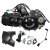 asdasdasdas.webp