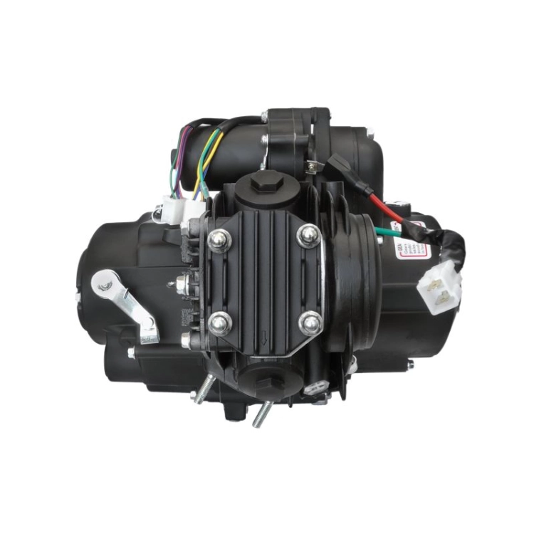 silnik-poziomy-125cc-do-motoroweru-4t-z-manualna-skrzynia-biegow-bez-oleju (3).webp
