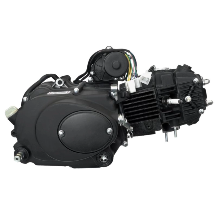 silnik-poziomy-125cc-do-motoroweru-4t-z-manualna-skrzynia-biegow-bez-oleju (2).webp